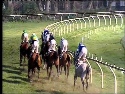 Galoppo 06/02/2016 - 6° corsa