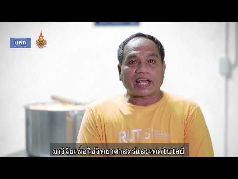 ผลิตภัณฑ์ใหม่จากส่วนเหลือจากการแปรรูปมะม่วงเบา