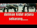 Delman Kidul Arjuna