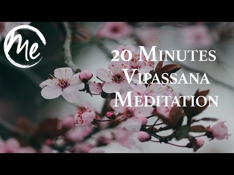 Vipassana Meditation – A Guided Meditation for Mindfulness You Can Do Anywhere