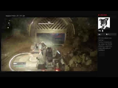 Hound and friends play destiny 2