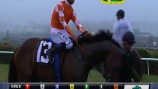HnR Bred Daddy is a Legend Wins Jimmie Durante Grade 3