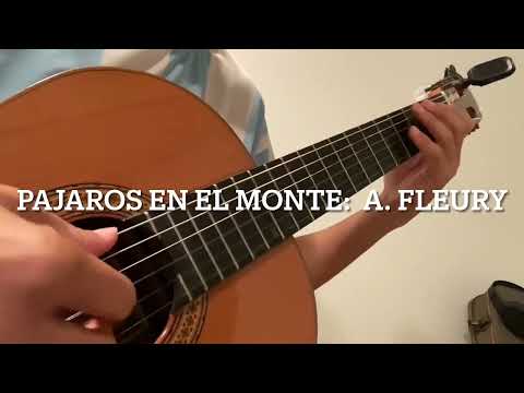 47. Pajaros en El Monte:  Abel Fleury