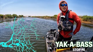 YAK-A-BASS Stop #6 - The California Delta