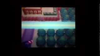 ヒトモシ ポケットモンスター デンリュウ ハンテール パウワウ