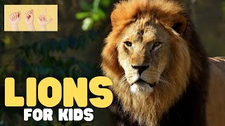 ASL Lions for Kids