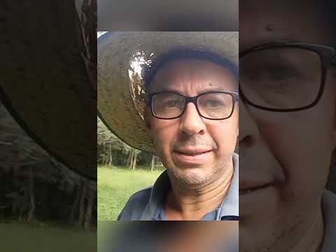 SITIO  BEIRA RIO  MORMACO  RS.