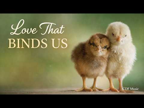 Love That Binds Us | Inspirational Christian Ballad | CDF Music