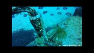 Diving Malta, Gozo, the P31 wreck dive with Scuba Kings Gozo the best Diving in Malta and Gozo