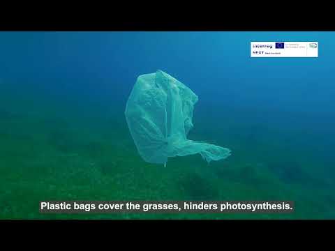 Ecosystem Under Threat