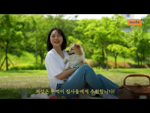 멍타냥택시 - 펫택시