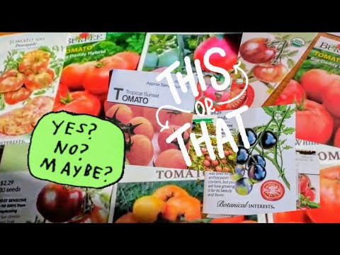 Tomato Varieties 2024: What to Grow? Dreaming of Summer Tomatoes