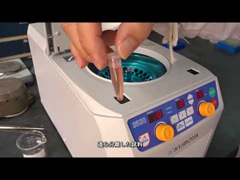 光の中の細胞組織: 動物実験の代替手段?