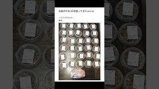【2ちゃんねる】松屋の牛皿30個買ってきたwww【アフレコ】