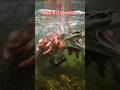 It Took Seconds Piranhas Kills Alligator Legendary Fight Animals Wildlife