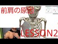 解剖学シリーズ 前肩の原因と改善方法