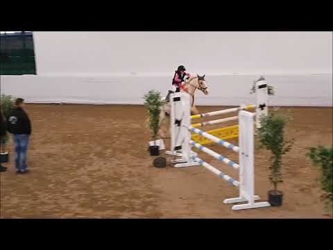 Malu (10) und Dancer - SIEG im A** in Zweibrücken am 16.11.2019