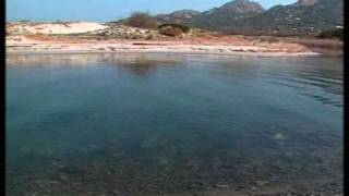 Boris Grebenshikov &amp; Annie Lennox &quot;The Wind&quot;