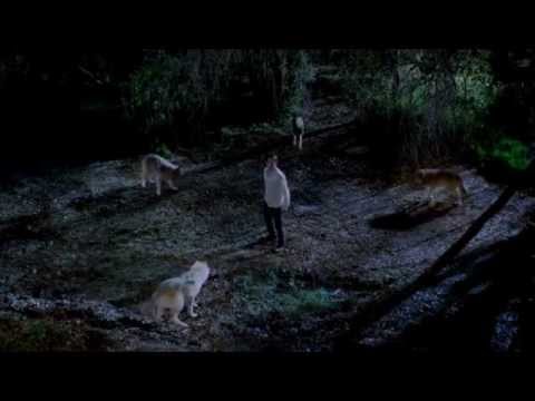 True Blood - Bill Compton vs. Werewolves