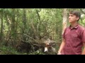 Elliot Yamin - This Step Alone | Music Video