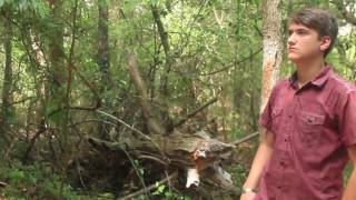 Elliot Yamin - This Step Alone | Music Video