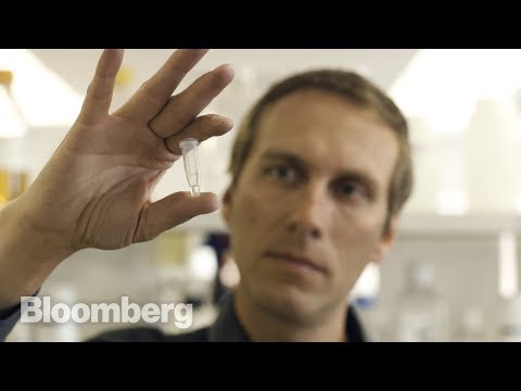 牛を痛みから救う酪農家 (The Dairy Scientist Saving Cows From Pain)