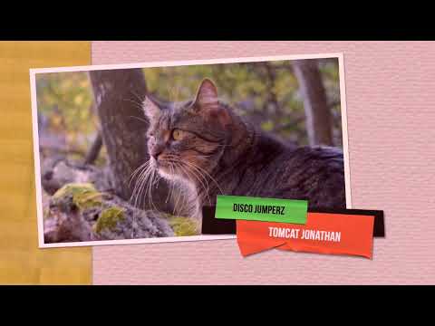 Petra Jurinová - Kocúr Jonatán (Disco Jumperz Remix)