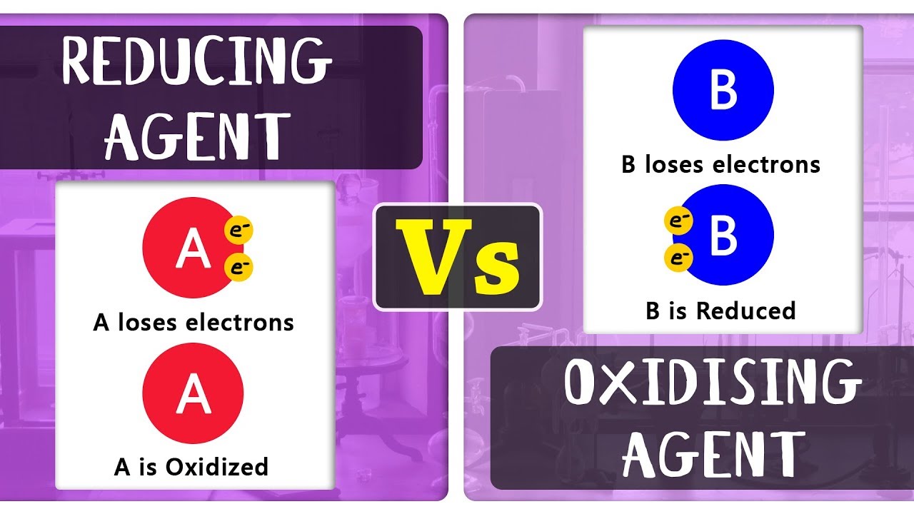 What is the Difference Between Reducing Agent & Oxidising Agent | Types of Chemical Reactions