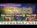All Signs What New Seeds Are You Planting With Timestamps New Moon In Taurus May 2026