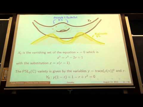 GTiNY2013 Video Series 3/20: Kate Petersen (1st day, 3rd Talk on Monday 8/12 )