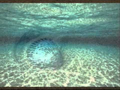 Chevelle Franklyn Lady G Dont Forget My Love