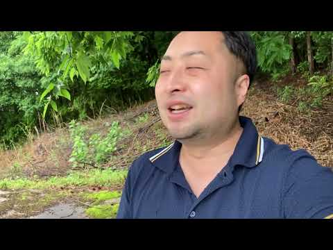 こども学科 宇陀市の初夏・早朝・雨の中【最近の音楽授業雑感】