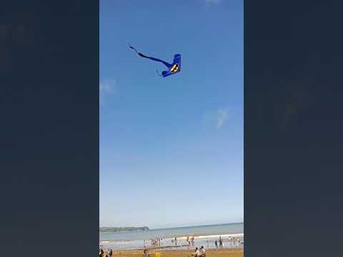 Fadil gerald Bermain layang layang di pantai,,,,