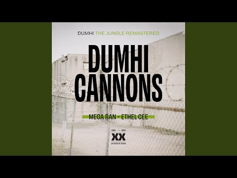 Dumhi Cannons (feat. Mega Ran & Ethel Cee) (2025 Remastered - Single)