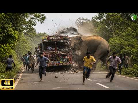 IMPOSSIBLE ROADS | One in a Billion Dangerous Traffic Moments | Documentary 4K
