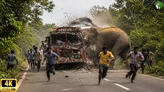 IMPOSSIBLE ROADS | One in a Billion Dangerous Traffic Moments | Documentary 4K