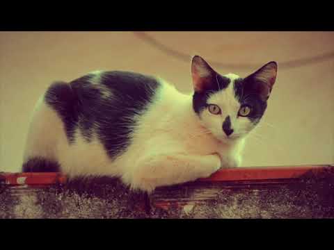 “Teardrops & Wine” by Anacarina