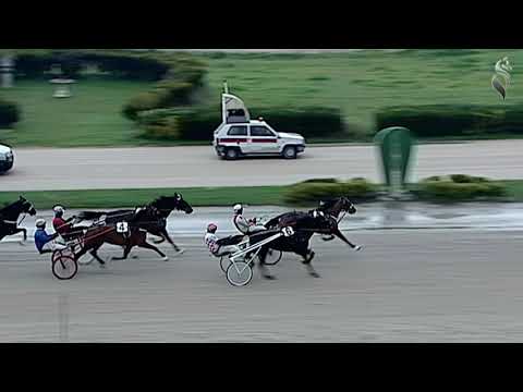 Aversa trotto 9 Dicembre 2020 - 3 ° Corsa