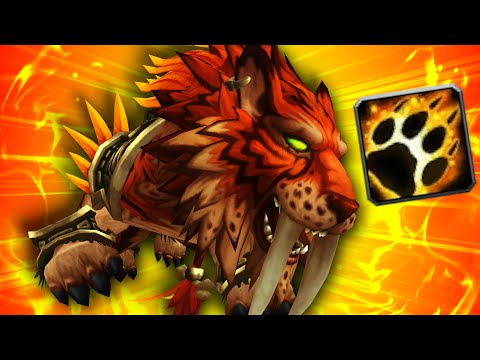 That Feral Druid Is Actually IMMORTAL! (5v5 1v1 Duels) - PvP WoW: Dragonflight