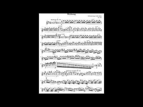 Wilhelm Popp Birdsong solo for Flute (Sibelius)