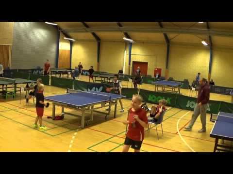 Mathias Nielsen vs Amir Hamed Parkho