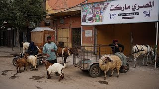 Los desplazados de Gaza afrontan un sombrío Eid al Adha por la guerra