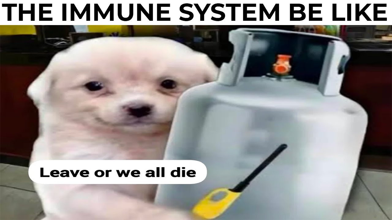 DAILY DOSE OF MEMES 568