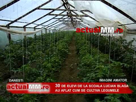 danesti legume actualmm.mpg