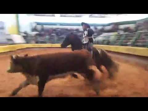 PEÑAROL DA BOA VISTA!!!
