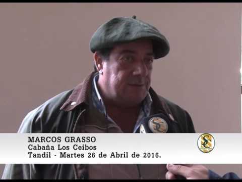 26-04-16 Nota Marcos Grasso - Tandil Cuna de Hereford - Tandil.