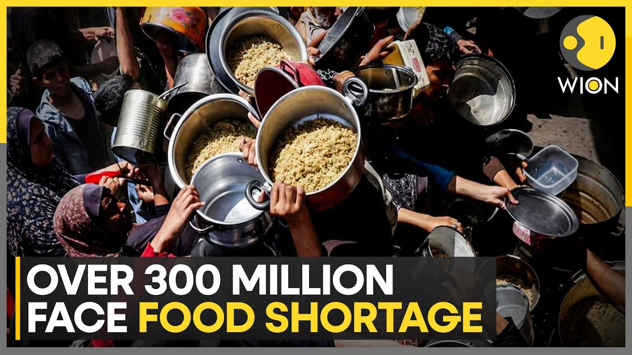 West Asia Tensions Push Millions Toward Hunger As Global Food Crisis Deepens | WION