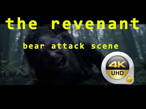 the revenant 2015 bear attack scene in 4k HDR