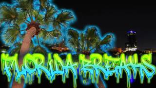 Flash Force Crew & DJ Richie Rich - Bionic Bass (Extended Version)