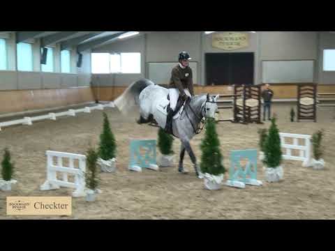 Checkter - Hengstpräsentation 2021